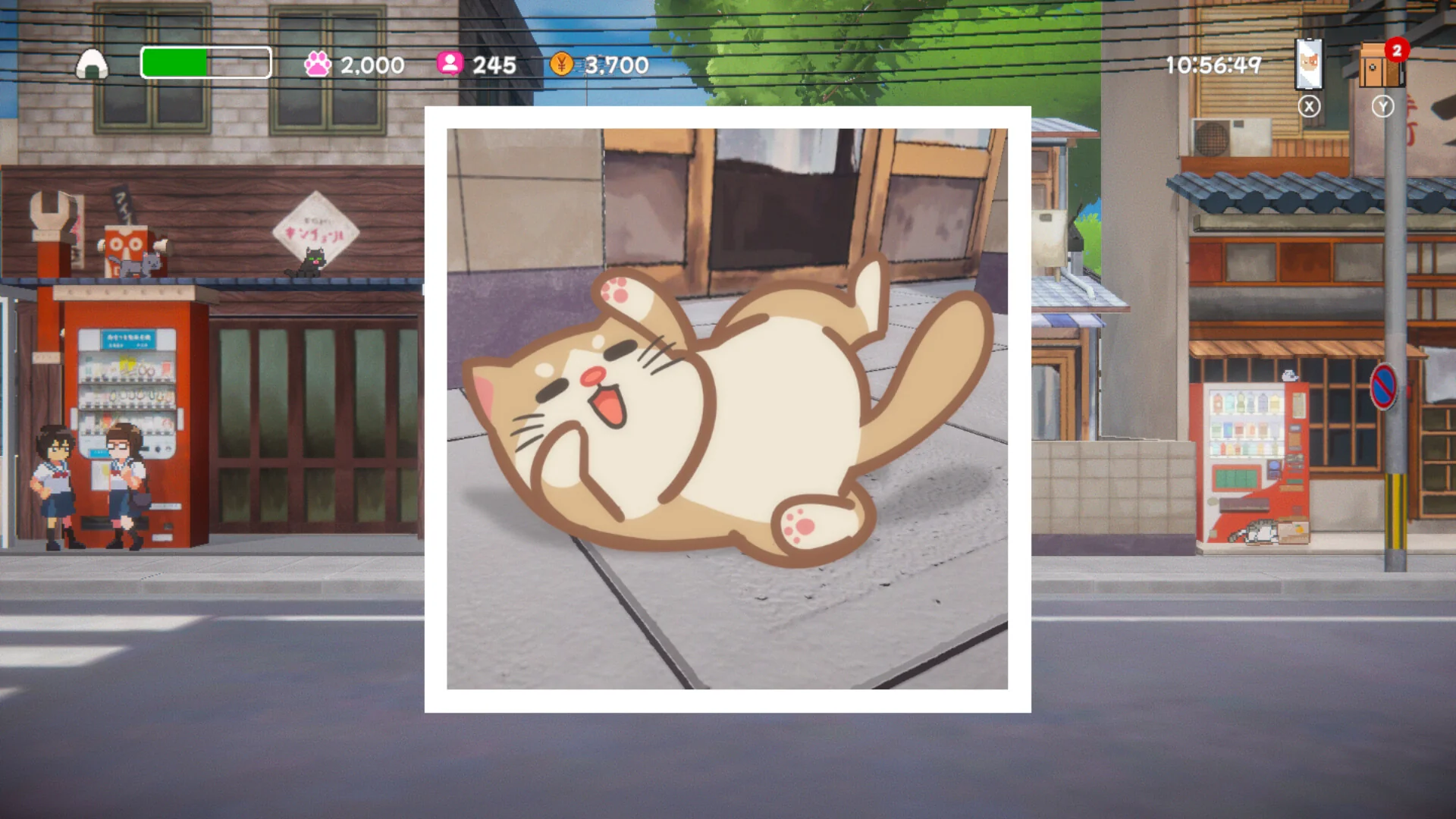 네코 오디세이 — 카메라로 고양이를 촬영하는 순간