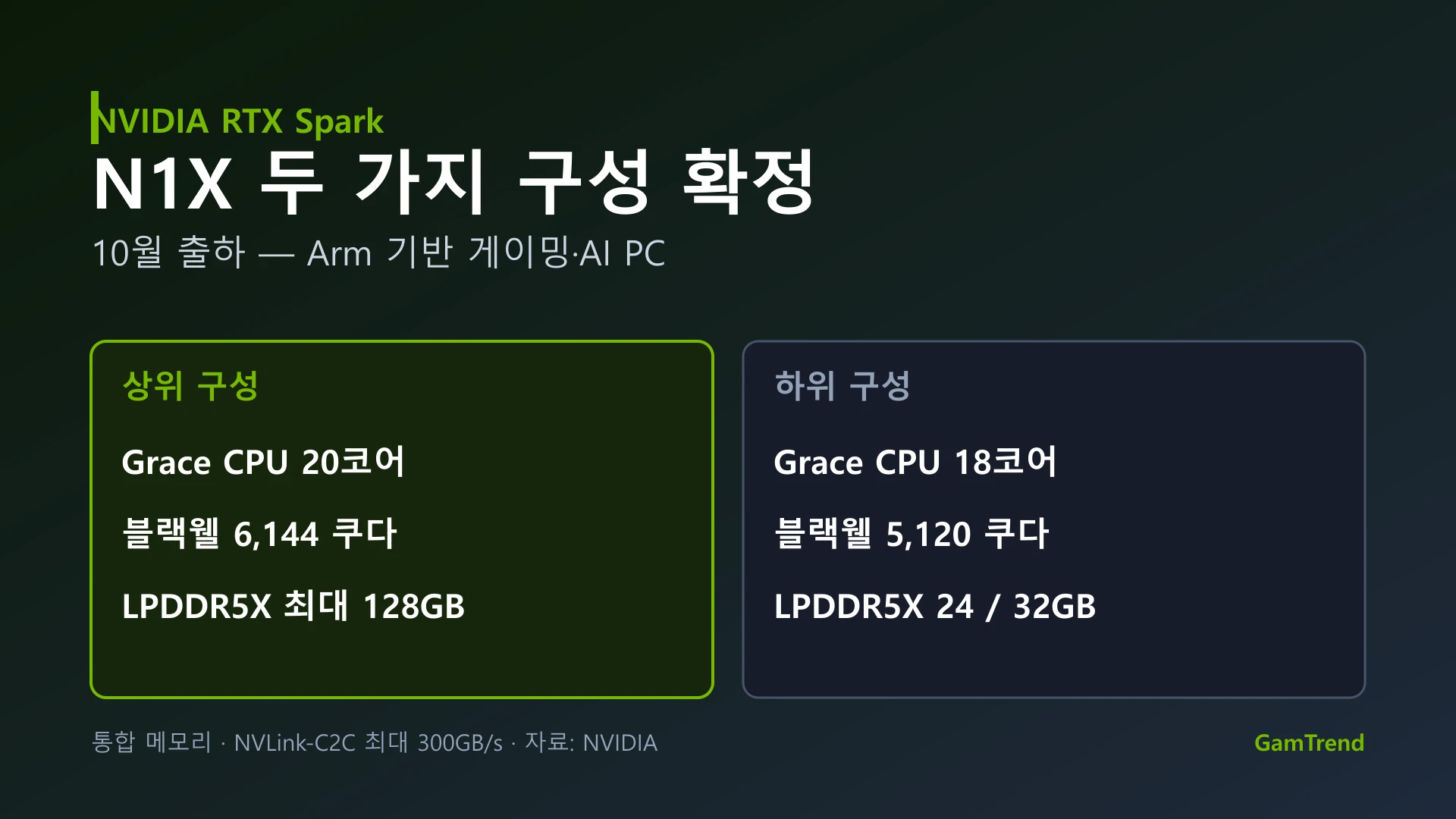 RTX 스파크 N1X 두 가지 구성의 사양 비교