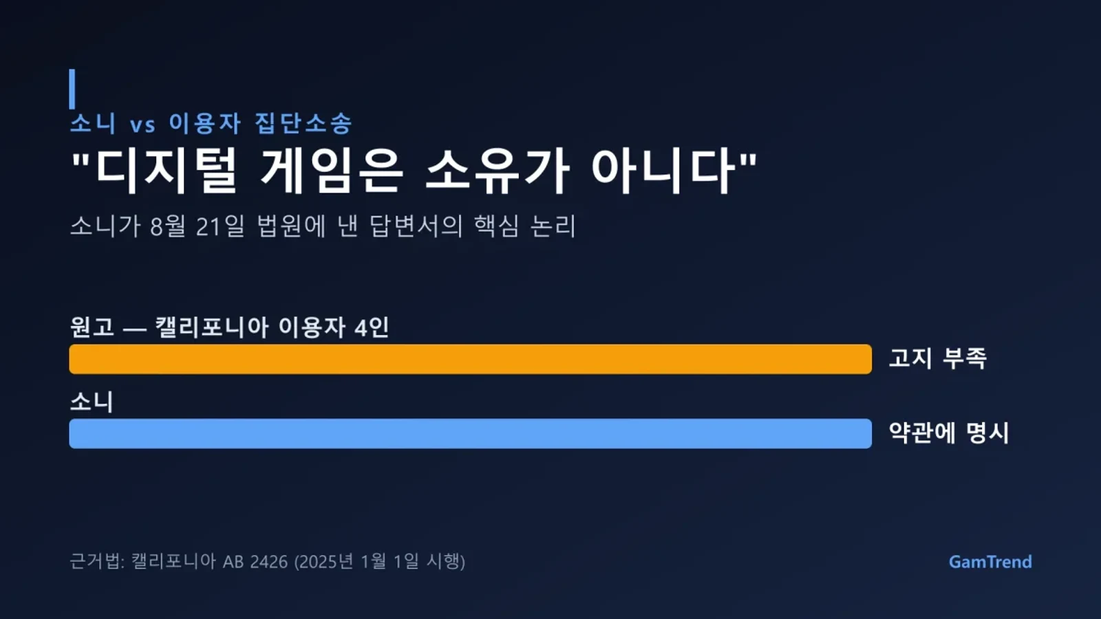 소니 디지털 소유권 소송의 쟁점을 정리한 그래픽